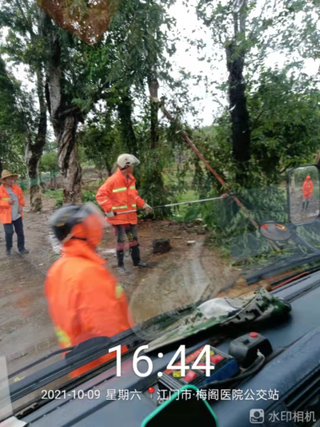 清除公路两旁倾倒树木.jpg