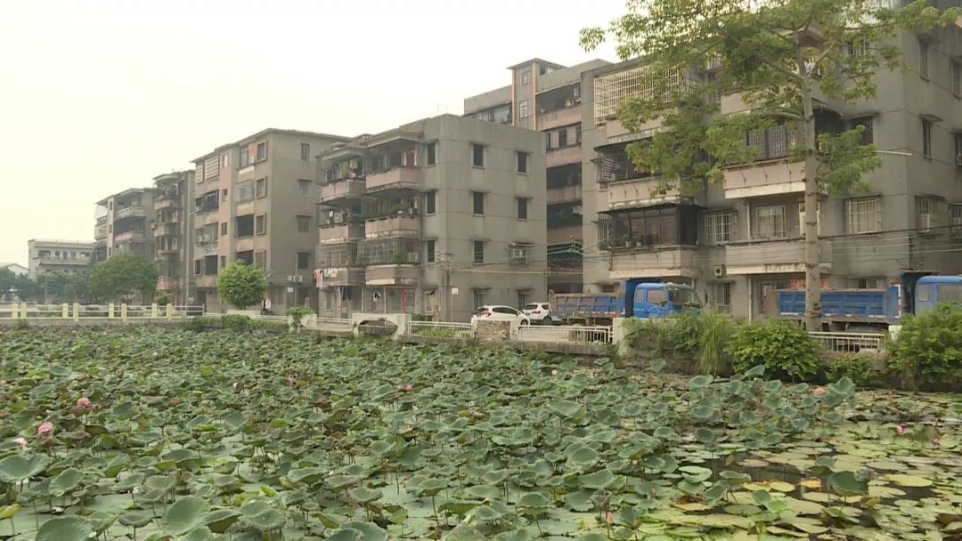 微信图片_20191223111754.jpg
