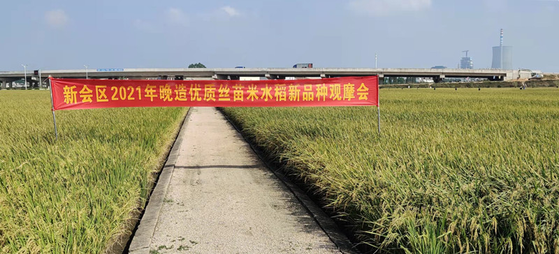 观摩会现场_副本.jpg