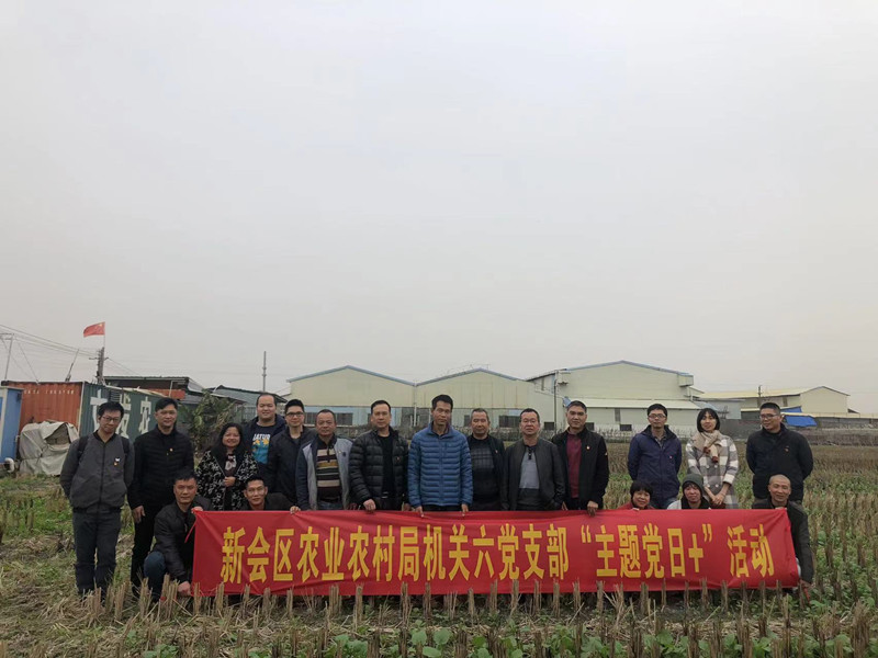 图片3_副本.jpg