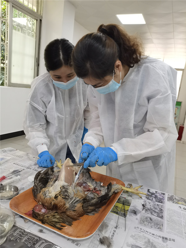 6bb86b5e764bc215afae8447356258e_副本.jpg