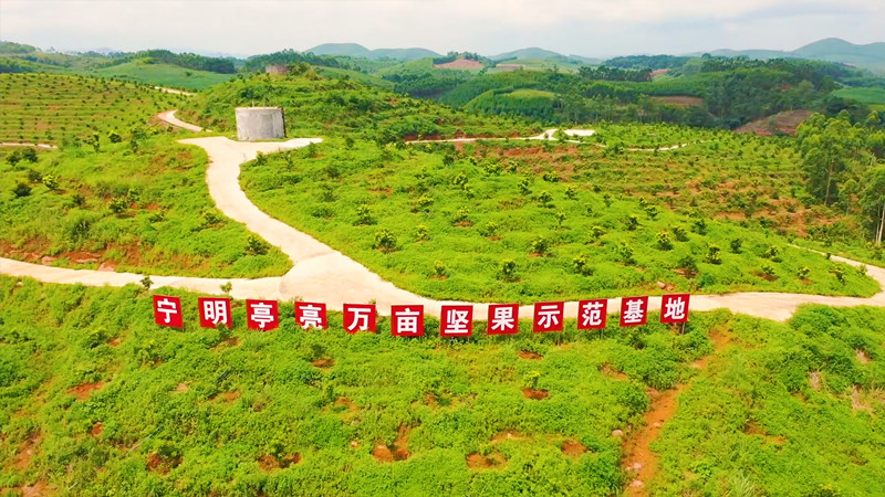 坚果_副本.jpg