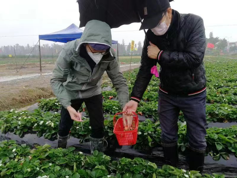 53b5eb6199d00260d9f725ab859a84e_副本.jpg