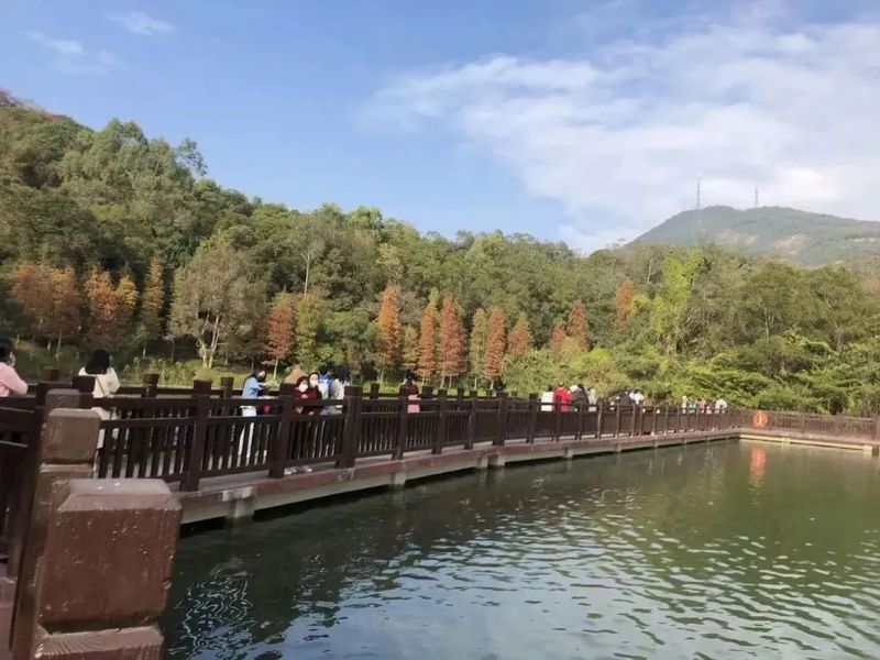 37_结果.jpg