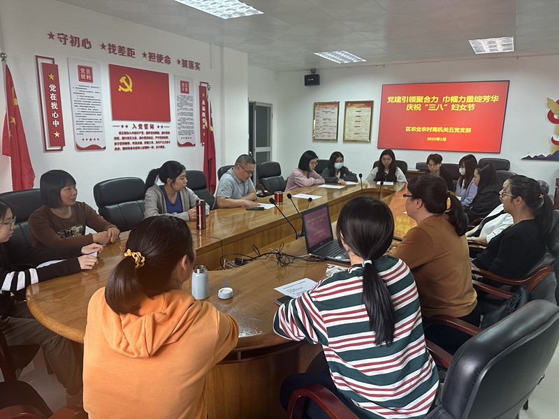 微信图片_202303071634262_副本.jpg