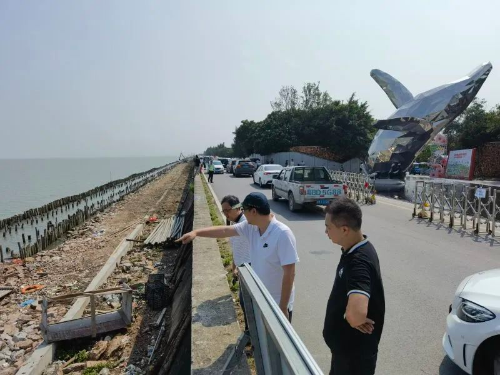 已编辑图片