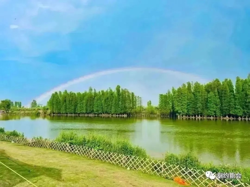5_结果.jpg