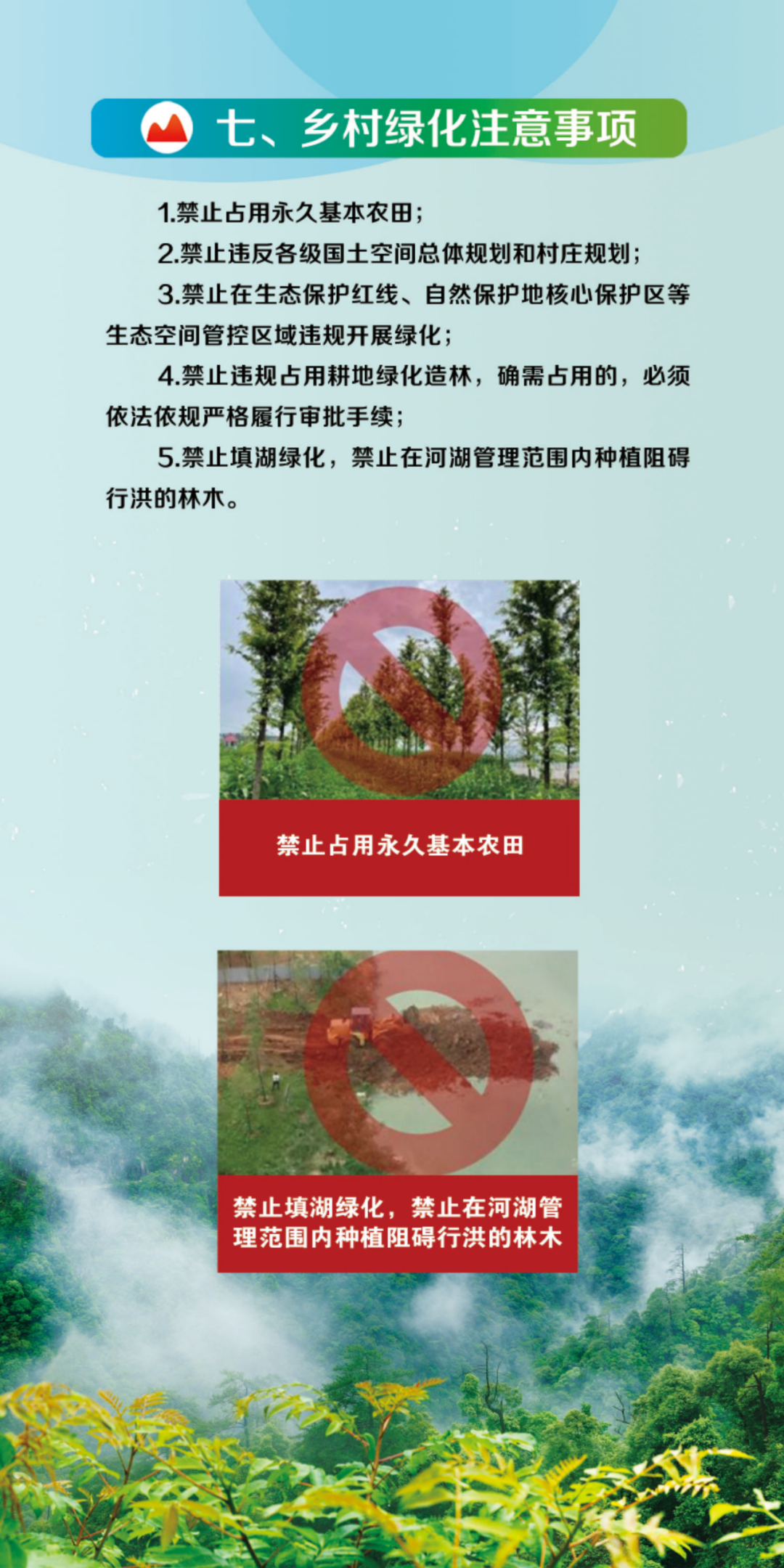 640 (8).png