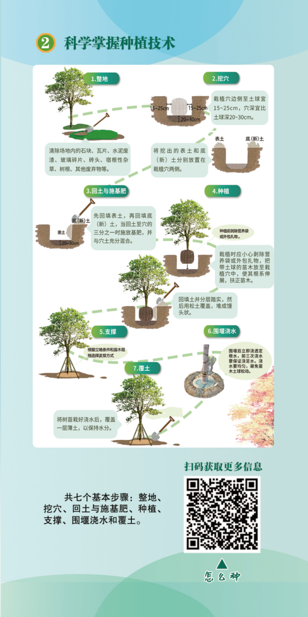 640 (5).png