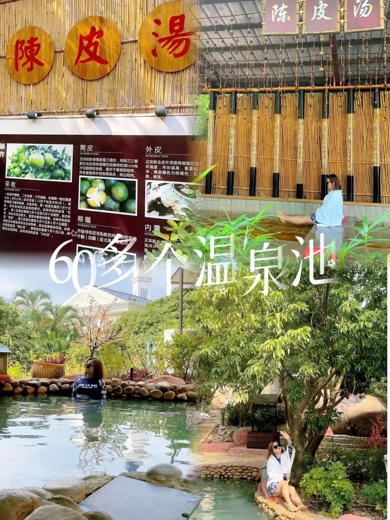 5_结果.jpg