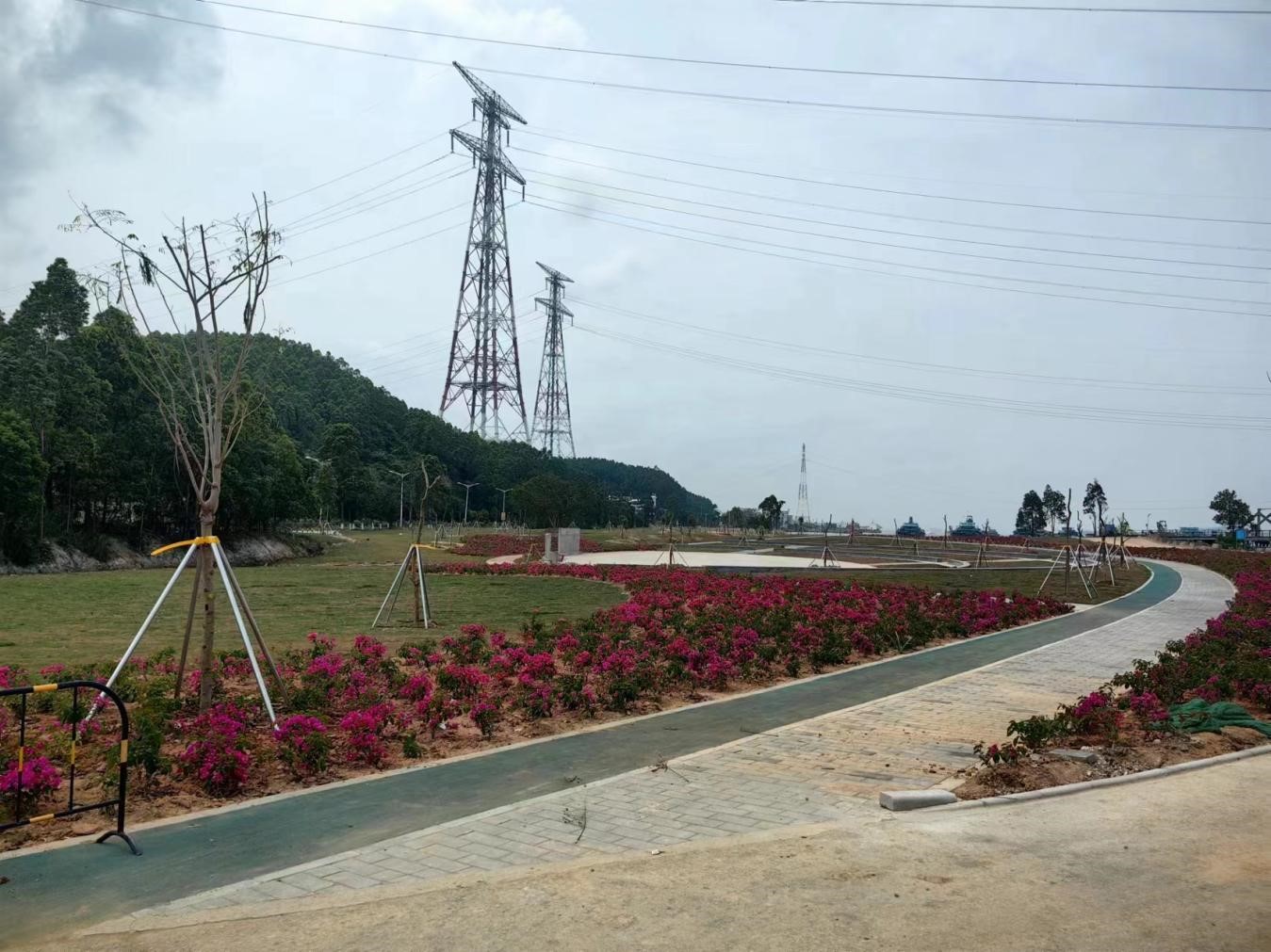 66.jpg