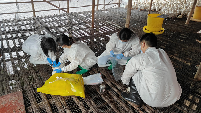 41514de7f029cfe25a736199828d8c4b(2)_副本.jpg