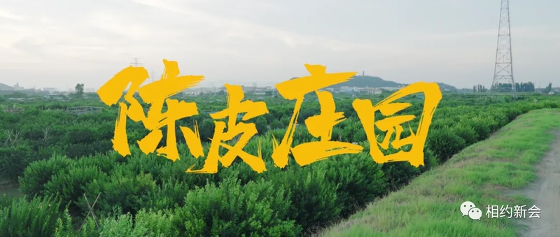 21_结果.jpg