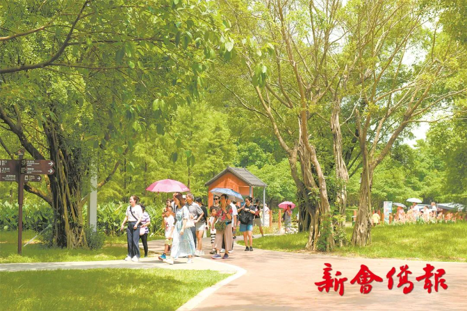 文章配图