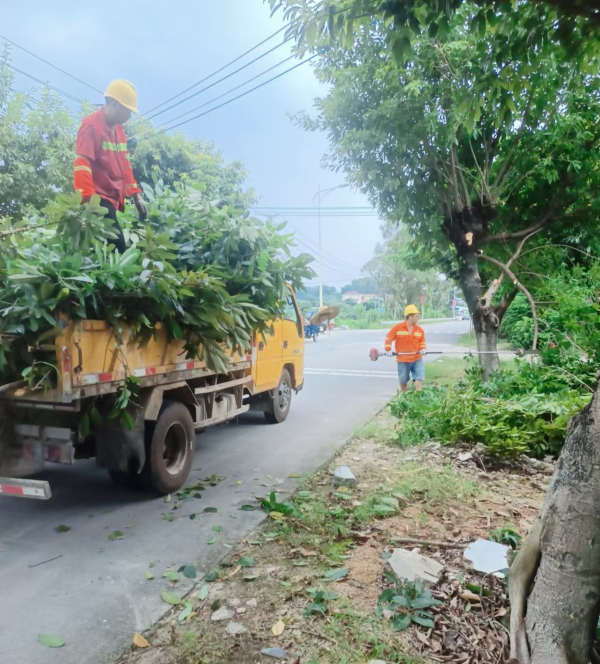 图6：9月4日上午，道路养护人员在修剪路树.jpg