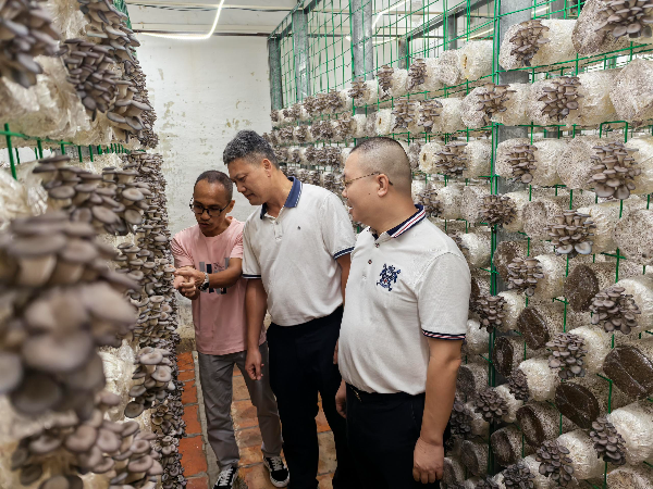 区发展改革局助推“百千万工程”加快建设（工作简报2024第52期）.doc_2