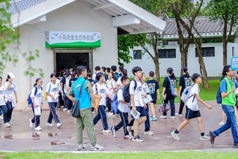5_结果.jpg