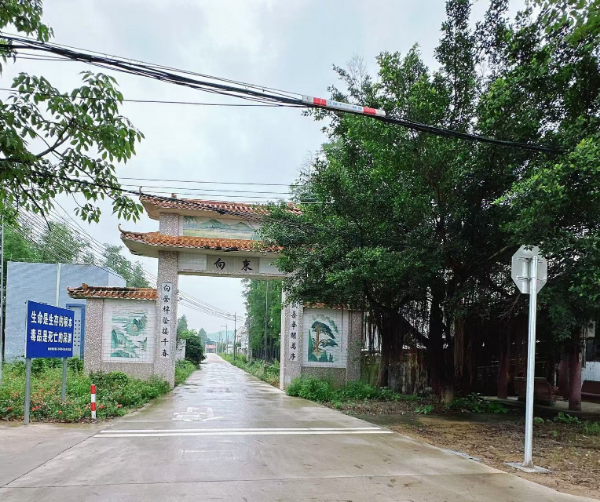图2：X533官东线标志标线更新工程.jpg