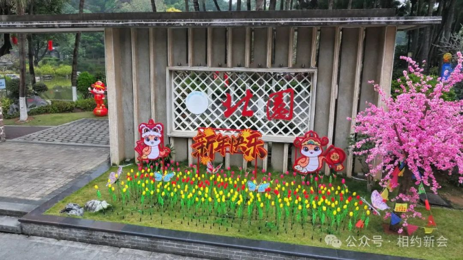 文章配图