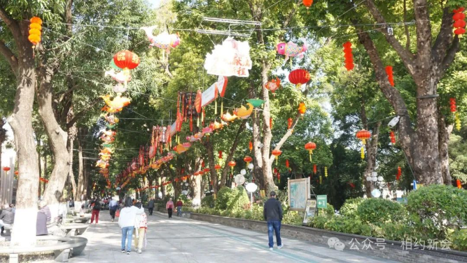 文章配图