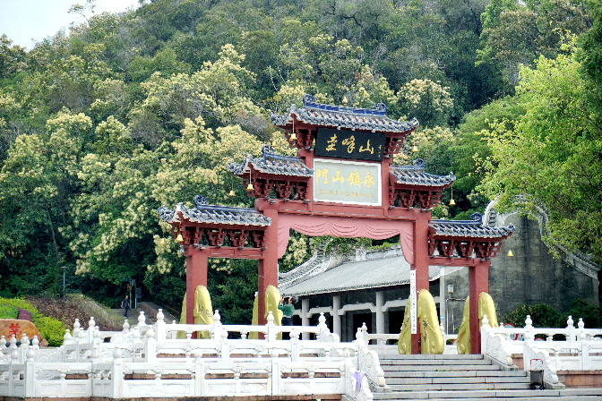 文章配图