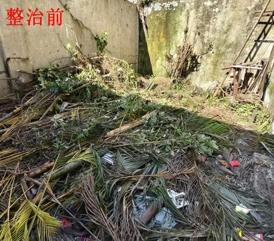 转存图片