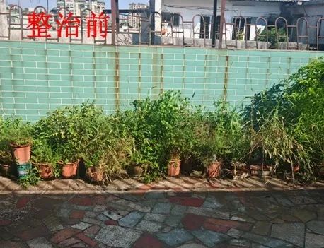 转存图片