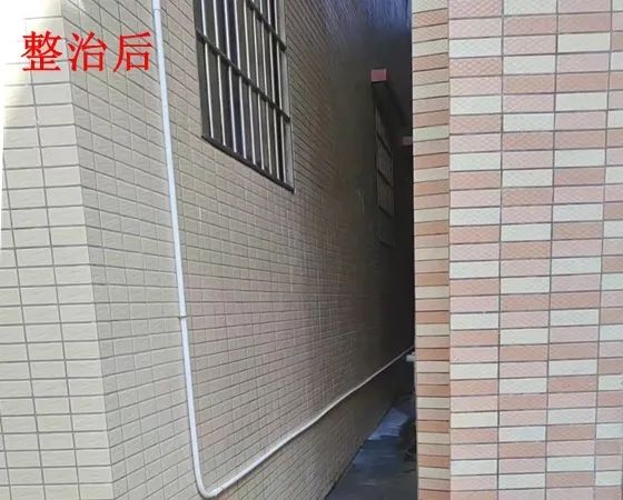 转存图片
