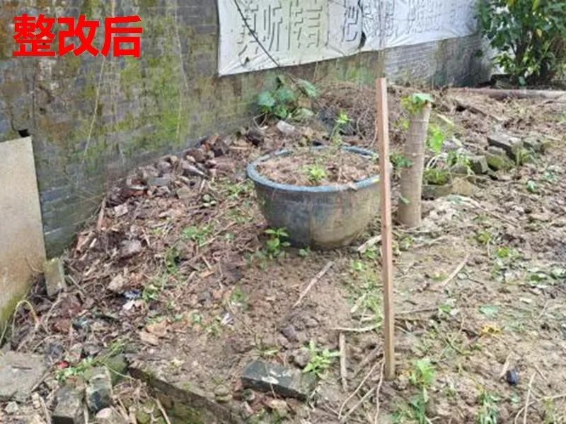 转存图片