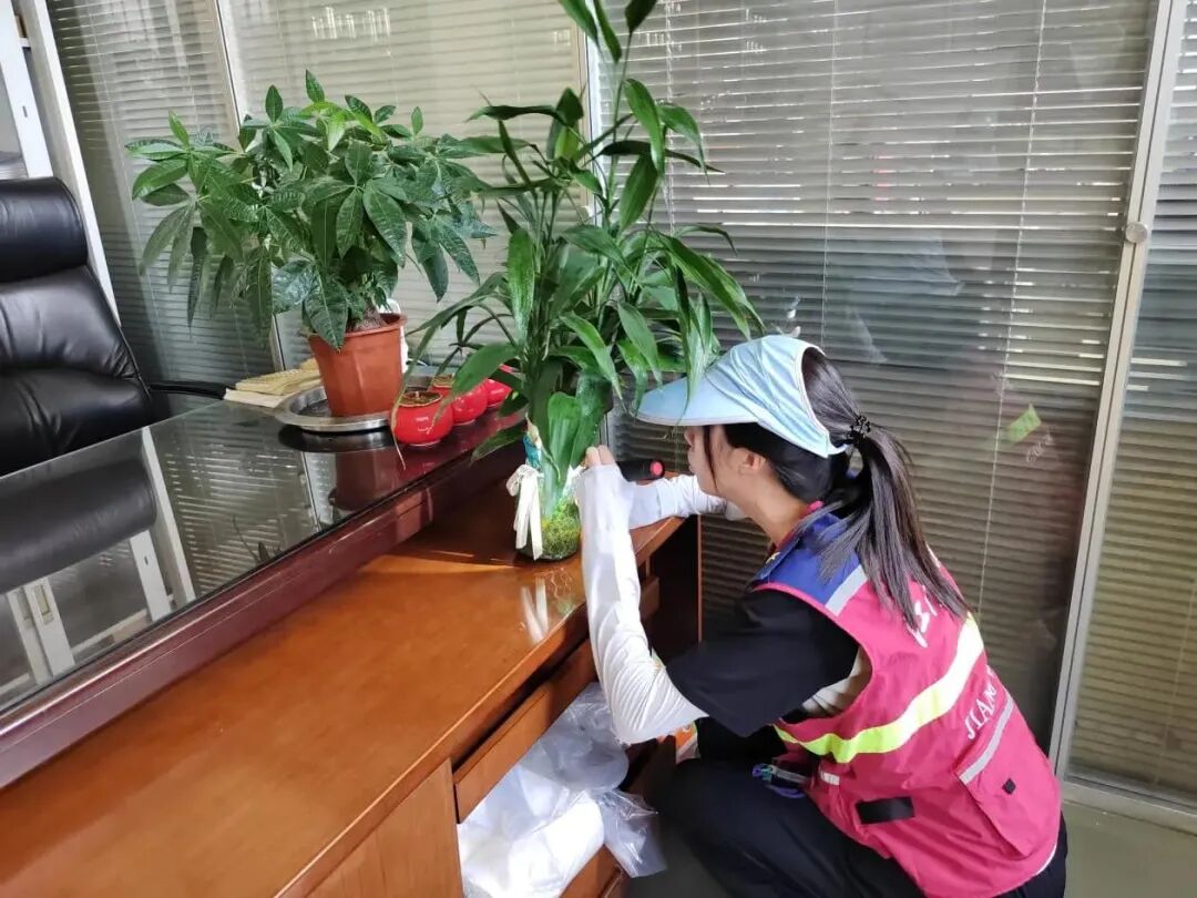 转存图片