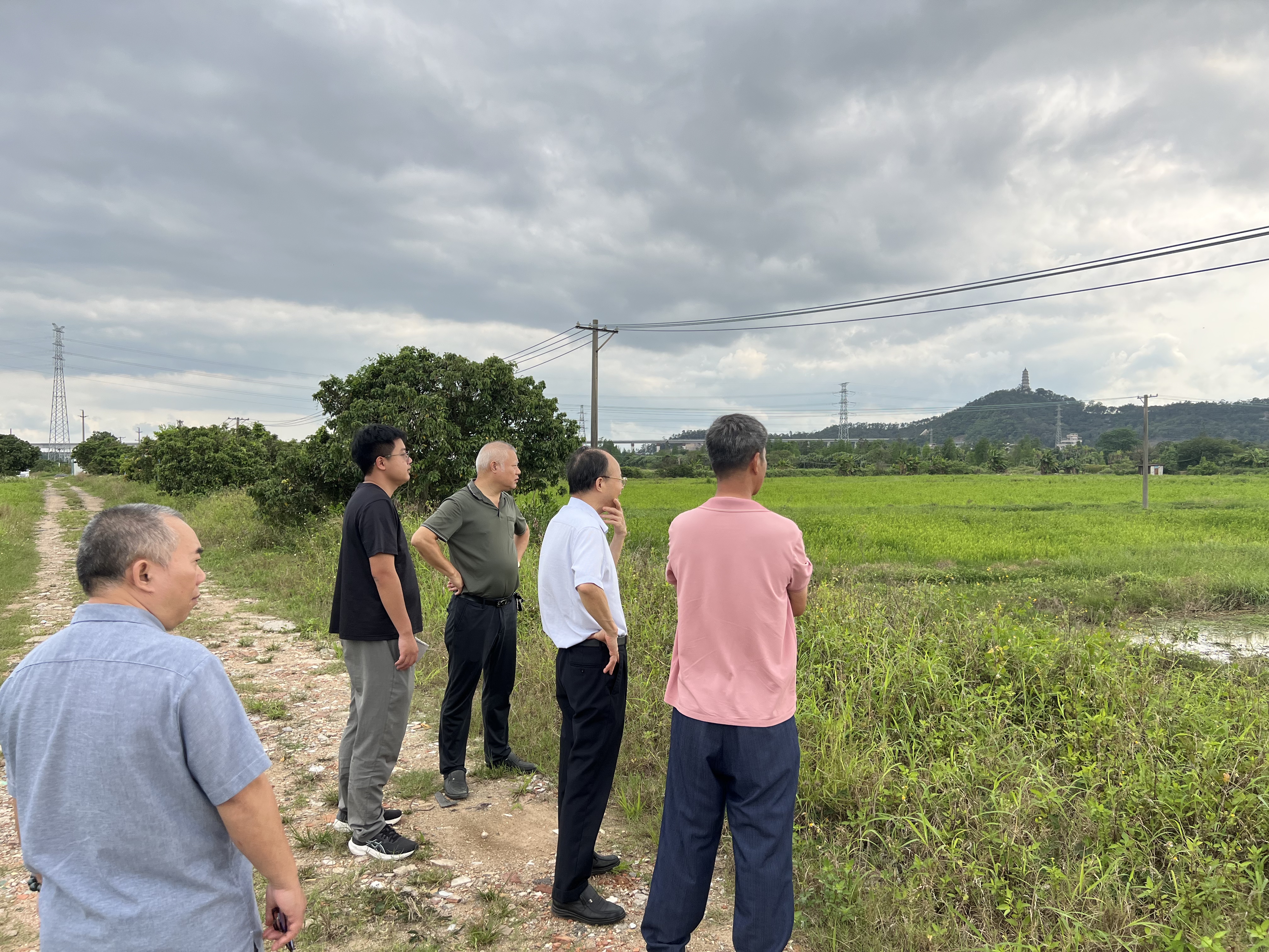 2026-5-6撂荒地复耕复种.jpg