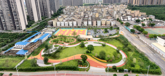 一园一景！新会公园“绿”出圈