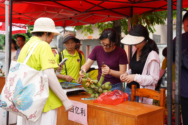 20260818崖门镇南合村“硒养南合・乐龄赶集”特色农文旅市集00009.jpg