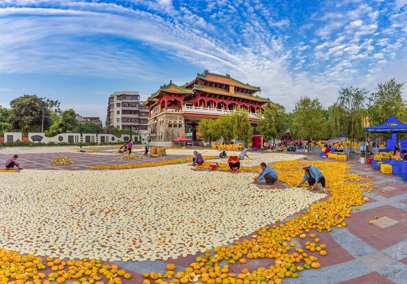 51_结果.jpg
