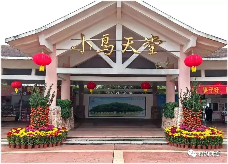 38_结果.jpg