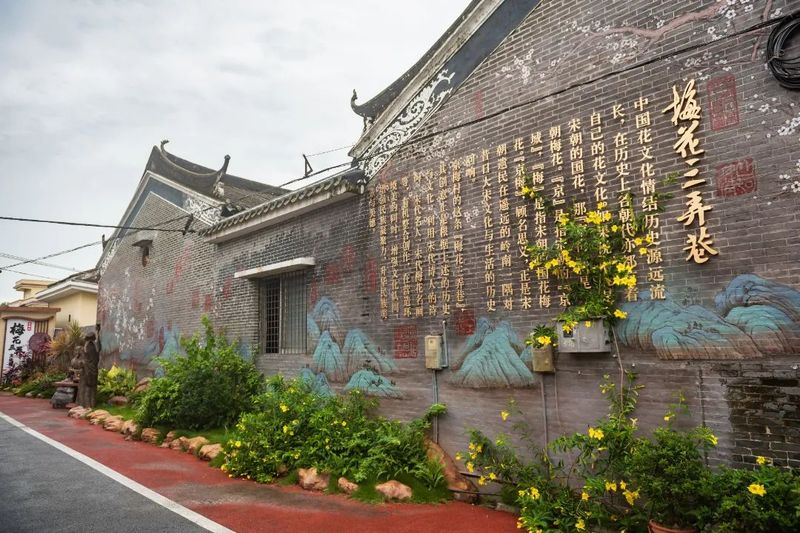 11_结果.jpg