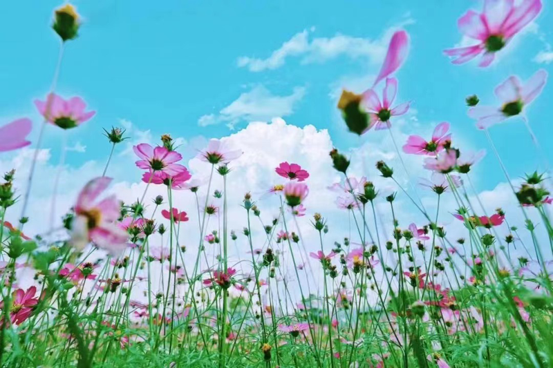 16_结果.png