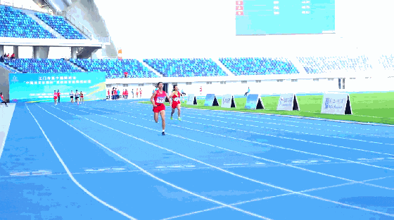 5.gif