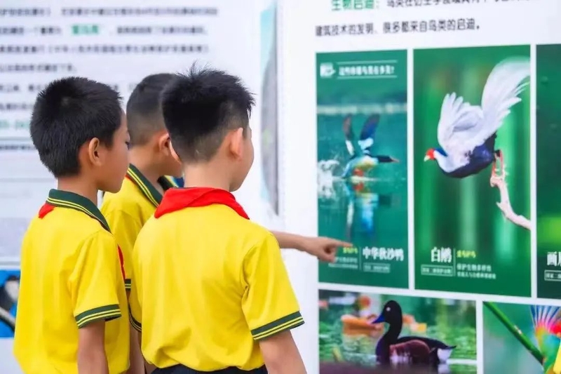 21_结果.jpg