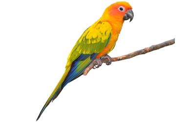 1663813922348.png
